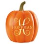 Pumpkin décor input