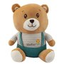 Teddy Bear input