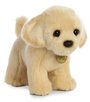 Miyoni Plush input