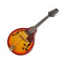 Mandolin input