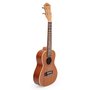 Ukulele input