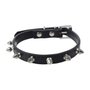 Dog collar input