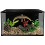 Houseplant input