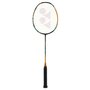 Badminton player input
