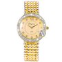 Diamond Watch input