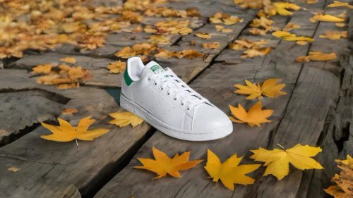 Sneaker Shoes